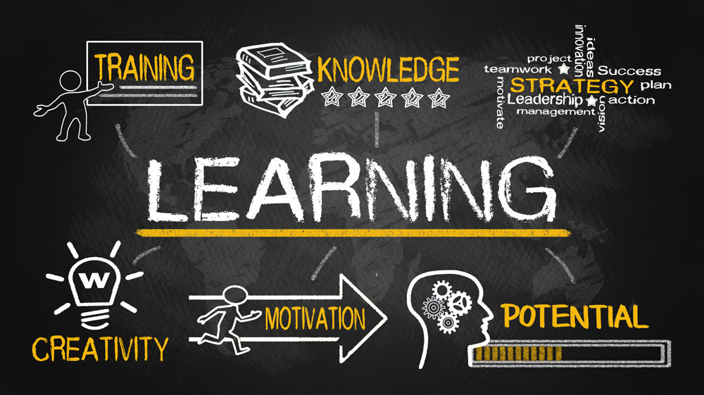 What is an Instructional Designer in Learning and Development?